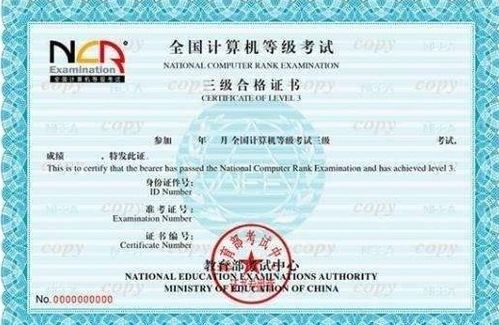 全國計算機等級考試與計算機系統集成資質 等級劃分與區別詳解
